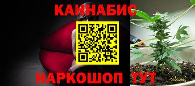 спиды Ачхой-Мартан