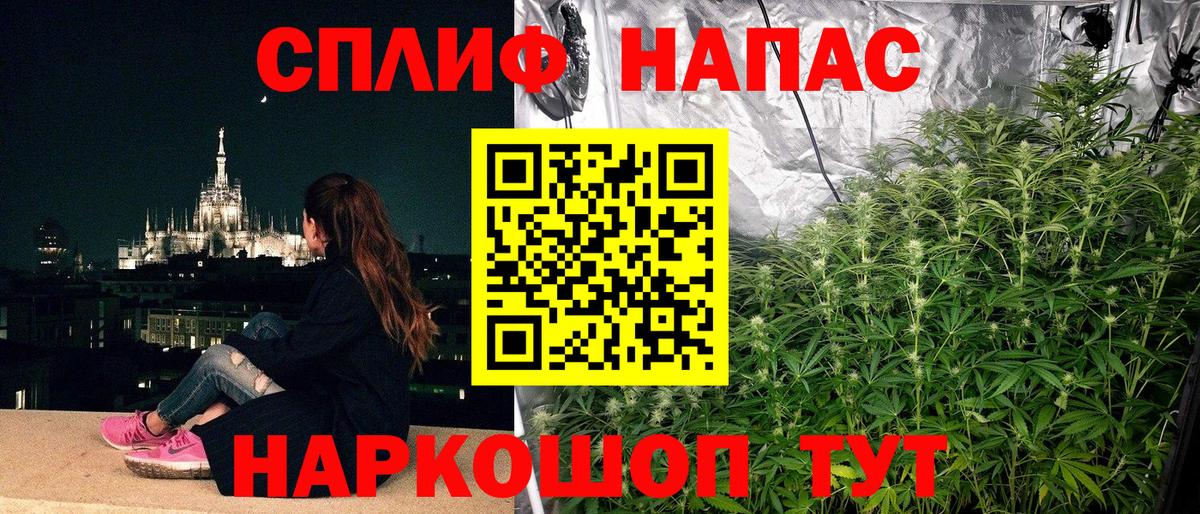 Шишки марихуана конопля  МАРИХУАНА гибрид  Белая Калитва  Вход с VPN  Бошки марихуана MAZAR 